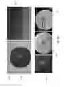 Fig. 31 - Multiplexed surface enhanced Raman sensors for early disease detection and in-situ bacterial monitoring