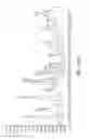 Fig. 18 - Gas-to-liquid reactor and method of using