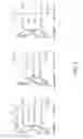 Fig. 04 - SEPARATING AGENT FOR LIQUID CHROMATOGRAPHY, SEPARATION COLUMN, AND METHOD FOR SEPARATING AND PURIFYING BIOPOLYMER USING THEM