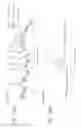 Fig. 11 - SEPARATING AGENT FOR LIQUID CHROMATOGRAPHY, SEPARATION COLUMN, AND METHOD FOR SEPARATING AND PURIFYING BIOPOLYMER USING THEM