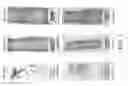 Fig. 09 - Wet wipes comprising antimicrobial coating compositions