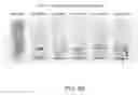 Fig. 11 - Wet wipes comprising antimicrobial coating compositions