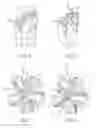 Fig. 05 - Methods of forming forged fixed-cutter earth-boring drill bit bodies