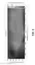 Fig. 07 - SHEAR INDUCED GRAIN REFINEMENT OF A CAST INGOT