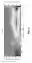 Fig. 09 - SHEAR INDUCED GRAIN REFINEMENT OF A CAST INGOT