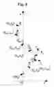 Fig. 11 - Apparatus of continuum robot