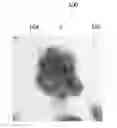 Fig. 01 - Aged granular material and a method of manufacturing an object therefrom