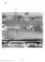 Fig. 04 - Nanostructures from Laser-Ablated Nanohole Templates