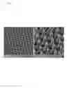 Fig. 22 - Nanostructures from Laser-Ablated Nanohole Templates