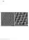 Fig. 24 - Nanostructures from Laser-Ablated Nanohole Templates