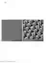 Fig. 28 - Nanostructures from Laser-Ablated Nanohole Templates