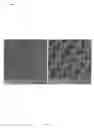 Fig. 36 - Nanostructures from Laser-Ablated Nanohole Templates
