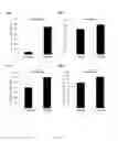 Fig. 45 - Nanostructures from Laser-Ablated Nanohole Templates