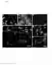 Fig. 46 - Nanostructures from Laser-Ablated Nanohole Templates