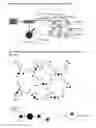 Fig. 02 - Use of a thermosetting polymeric powder composition