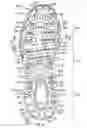 Fig. 15 - Article of footwear with first and second outsole components and method of manufacturing an article of footwear
