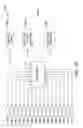 Fig. 14 - Methods and machine for forming a shipping container with an article retaining web