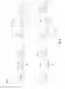 Fig. 05 - Service structures in print heads