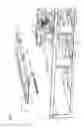 Fig. 04 - Liquid ejecting apparatus