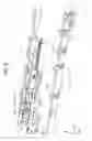 Fig. 07 - Recording apparatus