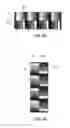 Fig. 07 - Optical security component with reflective effect, production of such a component and secure document provided with such a component
