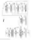 Fig. 06 - OPERATING DEVICE FOR VEHICLES