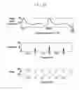 Fig. 04 - Apparatus and method for active vibration control of hybrid vehicle