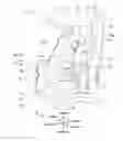 Fig. 01 - Side vehicle-body structure of vehicle