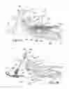 Fig. 27 - TRACK SYSTEM FOR TRACTION OF A VEHICLE