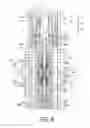 Fig. 05 - Bicycle telescopic apparatus