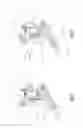 Fig. 05 - Bicycle derailleur