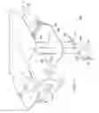 Fig. 03 - RUDDER TECHNOLOGIES FOR OUTBOARD MOTORS