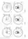 Fig. 02 - Can comprising a first, dispense opening and second, vent opening and a single pull tab