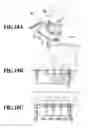 Fig. 20 - Sheet storage apparatus and printing apparatus