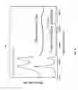 Fig. 05 - Two-dimensional amorphous carbon coating and methods of growing and differentiating stem cells