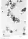 Fig. 01 - Production method for forsterite fine particles