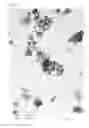 Fig. 03 - Production method for forsterite fine particles