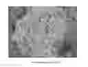 Fig. 01 - PRECIPITATED CALCIUM CARBONATE, A METHOD FOR ITS MANUFACTURE AND USES THEREOF