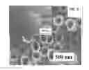 Fig. 08 - CHALCOGENIDE MATERIALS, CHALCOGENIDE-BASED MATERIALS, AND METHODS OF MAKING AND USING THE SAME