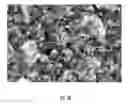 Fig. 05 - TITANIUM-MOLYBDATE AND METHOD FOR MAKING THE SAME