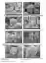 Fig. 05 - USE OF COPPER-CARBON COMPOSITE NANOMATERIAL IN ALGAE CONTROL
