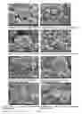 Fig. 07 - USE OF COPPER-CARBON COMPOSITE NANOMATERIAL IN ALGAE CONTROL
