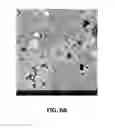 Fig. 12 - ULTRA-HIGH STRENGTH HOT-PRESSED GEOPOLYMERIC COMPOSITION AND PRODUCTION METHOD THEREOF