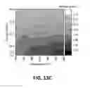 Fig. 24 - ULTRA-HIGH STRENGTH HOT-PRESSED GEOPOLYMERIC COMPOSITION AND PRODUCTION METHOD THEREOF