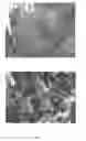 Fig. 02 - Method For Producing A Cementitious Composite, And Long-Life Micro/Nanostructured Concrete And Mortars Comprising Said Composite