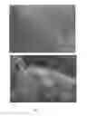 Fig. 05 - Method For Producing A Cementitious Composite, And Long-Life Micro/Nanostructured Concrete And Mortars Comprising Said Composite