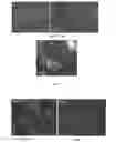 Fig. 08 - Method For Producing A Cementitious Composite, And Long-Life Micro/Nanostructured Concrete And Mortars Comprising Said Composite