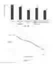 Fig. 11 - Method for enzymatic repair of cementitious surfaces