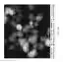 Fig. 05 - Processes for high severity fluid catalytic cracking systems