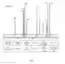 Fig. 02 - Method of producing a sodium salt of (2,6-dichlorophenyl)amide carbopentoxysulfanilic acid